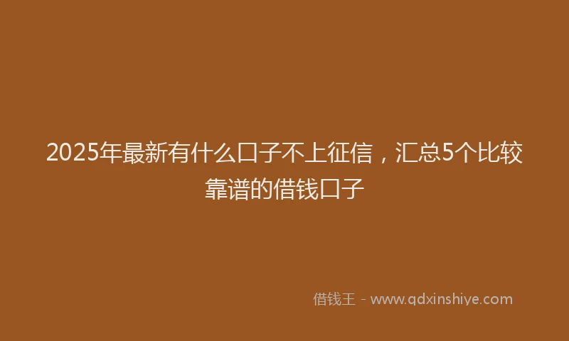 2025年最新有什么口子不上征信，汇总5个比较靠谱的借钱口子
