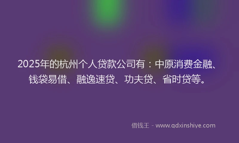 2025年的杭州个人贷款公司有：中原消费金融、钱袋易借、融逸速贷、功夫贷、省时贷等。