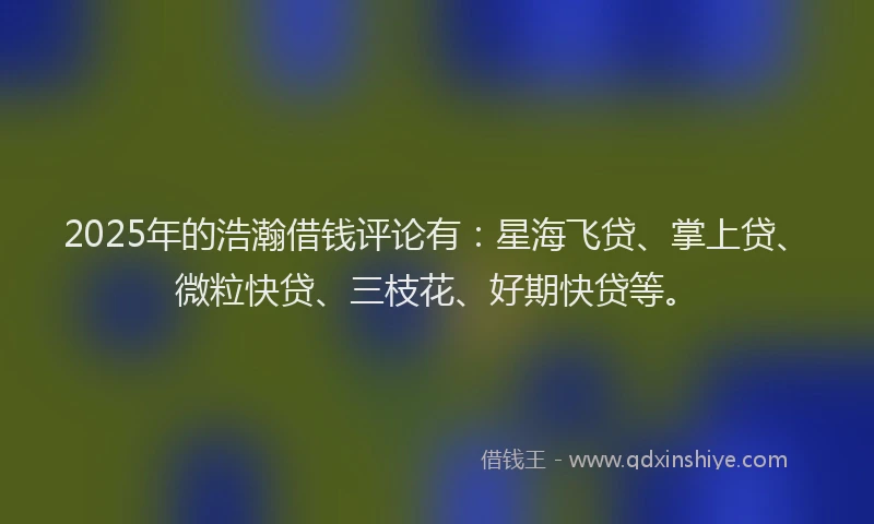 2025年的浩瀚借钱评论有：星海飞贷、掌上贷、微粒快贷、三枝花、好期快贷等。