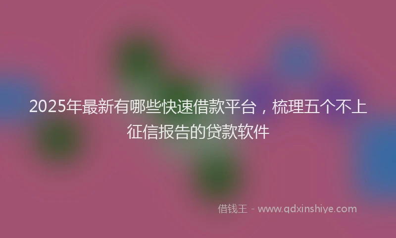 2025年最新有哪些快速借款平台，梳理五个不上征信报告的贷款软件