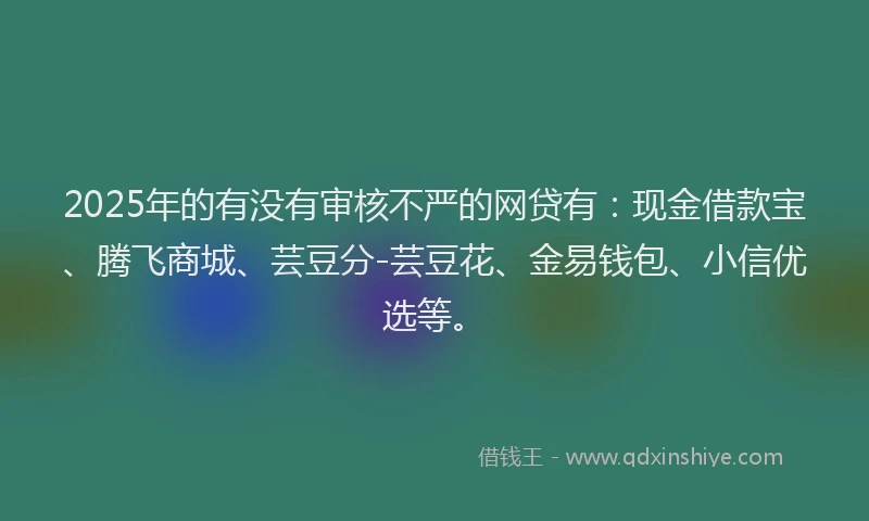 2025年的有没有审核不严的网贷有：现金借款宝、腾飞商城、芸豆分-芸豆花、金易钱包、小信优选等。