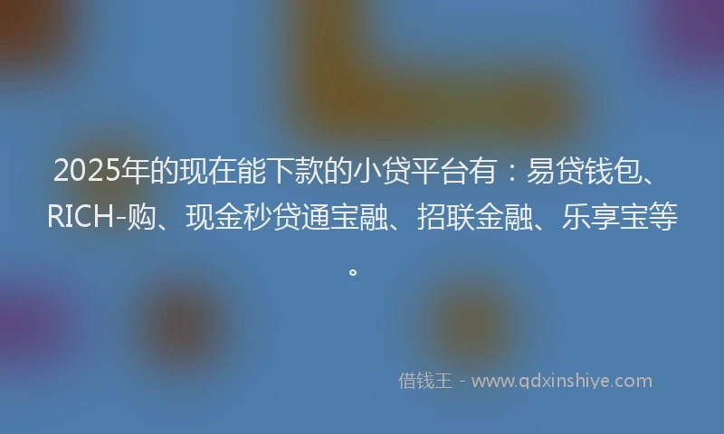2025年的现在能下款的小贷平台有：易贷钱包、RICH-购、现金秒贷通宝融、招联金融、乐享宝等。