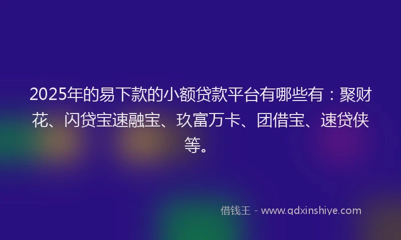 2025年的易下款的小额贷款平台有哪些有：聚财花、闪贷宝速融宝、玖富万卡、团借宝、速贷侠等。