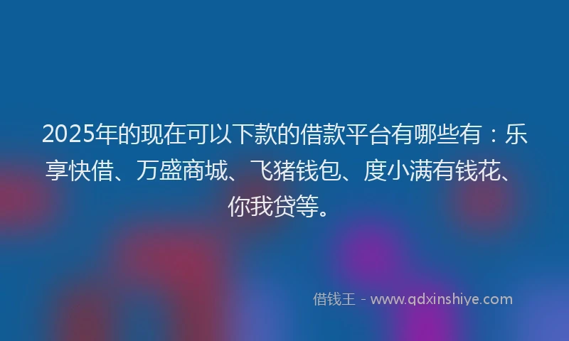 2025年的现在可以下款的借款平台有哪些有：乐享快借、万盛商城、飞猪钱包、度小满有钱花、你我贷等。