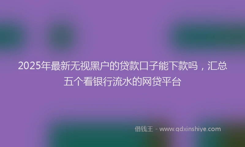 2025年最新无视黑户的贷款口子能下款吗，汇总五个看银行流水的网贷平台