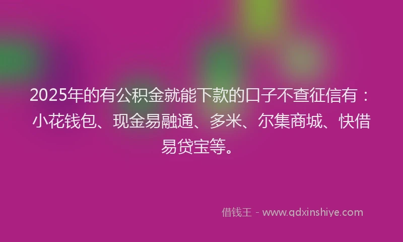 2025年的有公积金就能下款的口子不查征信有：小花钱包、现金易融通、多米、尔集商城、快借易贷宝等。