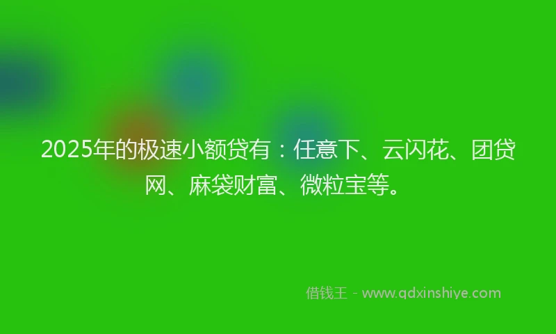 2025年的极速小额贷有：任意下、云闪花、团贷网、麻袋财富、微粒宝等。