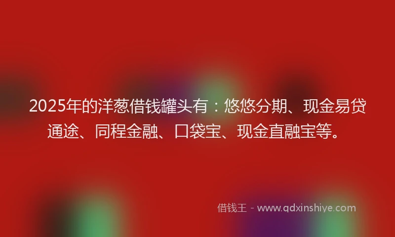 2025年的洋葱借钱罐头有：悠悠分期、现金易贷通途、同程金融、口袋宝、现金直融宝等。