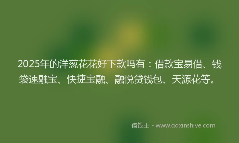 2025年的洋葱花花好下款吗有：借款宝易借、钱袋速融宝、快捷宝融、融悦贷钱包、天源花等。