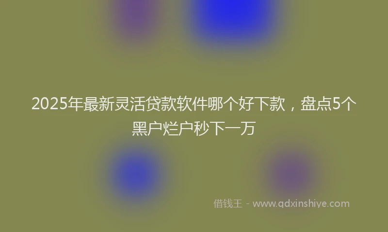 2025年最新灵活贷款软件哪个好下款，盘点5个黑户烂户秒下一万