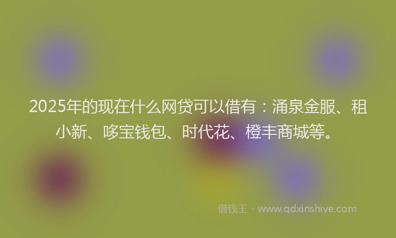 2025年的现在什么网贷可以借有：涌泉金服、租小新、哆宝钱包、时代花、橙丰商城等。