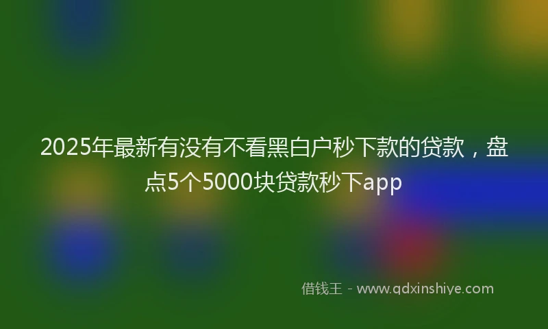 2025年最新有没有不看黑白户秒下款的贷款，盘点5个5000块贷款秒下app