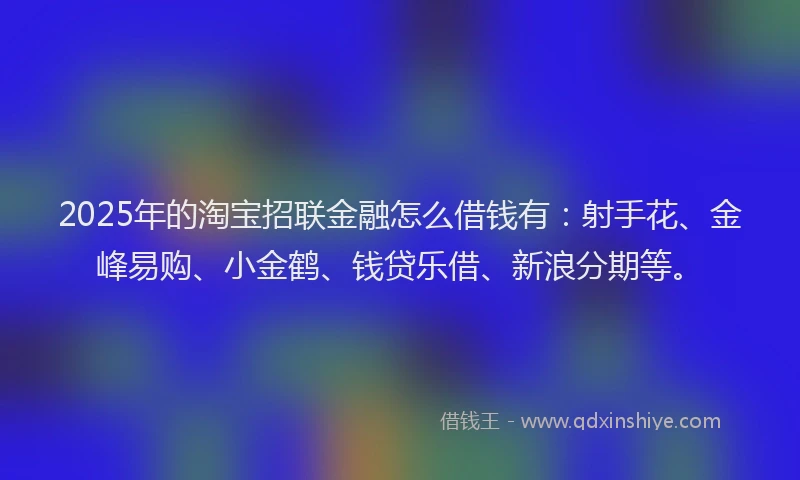 2025年的淘宝招联金融怎么借钱有：射手花、金峰易购、小金鹤、钱贷乐借、新浪分期等。