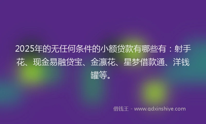2025年的无任何条件的小额贷款有哪些有：射手花、现金易融贷宝、金瀛花、星梦借款通、洋钱罐等。