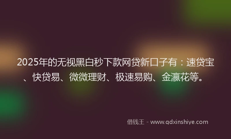 2025年的无视黑白秒下款网贷新口子有：速贷宝、快贷易、微微理财、极速易购、金瀛花等。