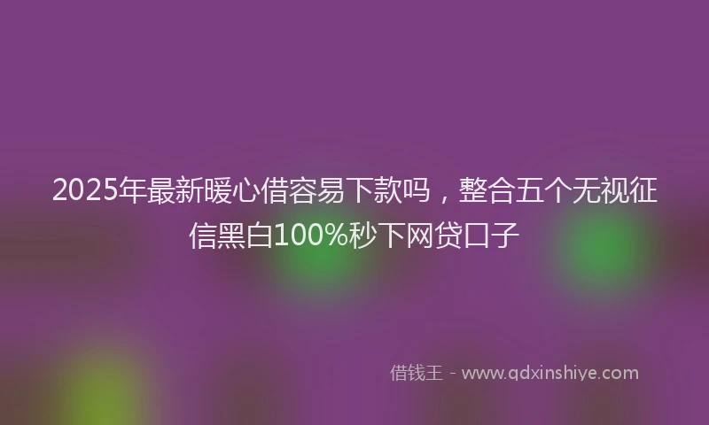 2025年最新暖心借容易下款吗，整合五个无视征信黑白100%秒下网贷口子