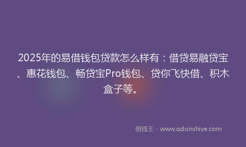2025年的易借钱包贷款怎么样有：借贷易融贷宝、惠花钱包、畅贷宝Pro钱包、贷你飞快借、积木盒子等。