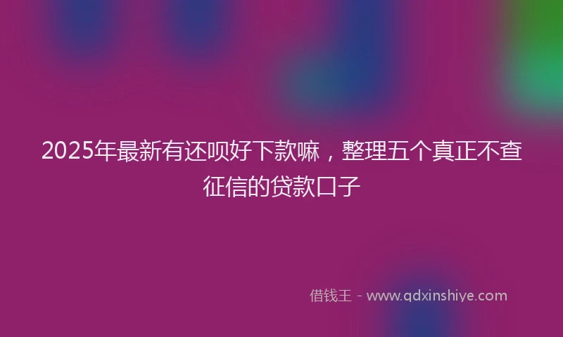 2025年最新有还呗好下款嘛，整理五个真正不查征信的贷款口子