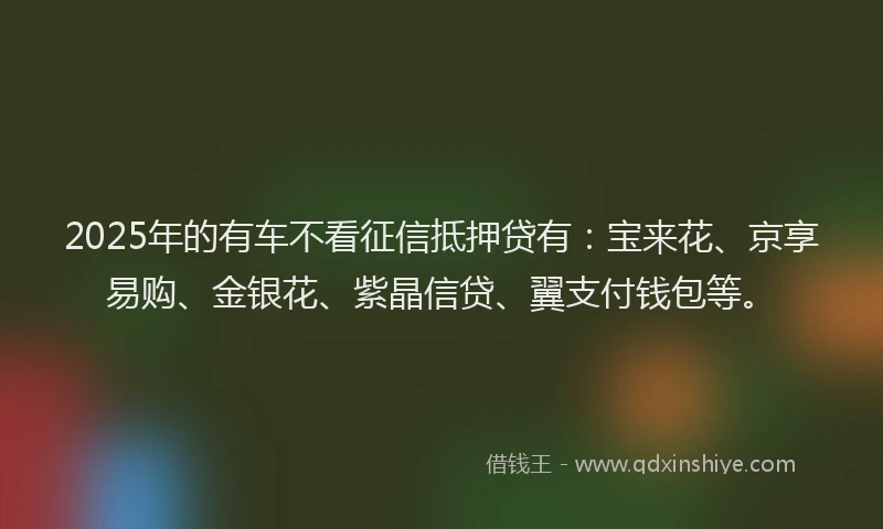 2025年的有车不看征信抵押贷有：宝来花、京享易购、金银花、紫晶信贷、翼支付钱包等。