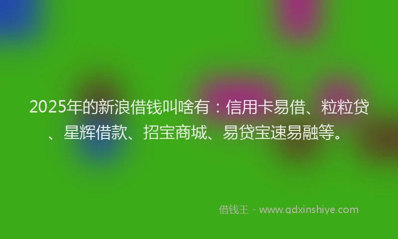 2025年的新浪借钱叫啥有：信用卡易借、粒粒贷、星辉借款、招宝商城、易贷宝速易融等。