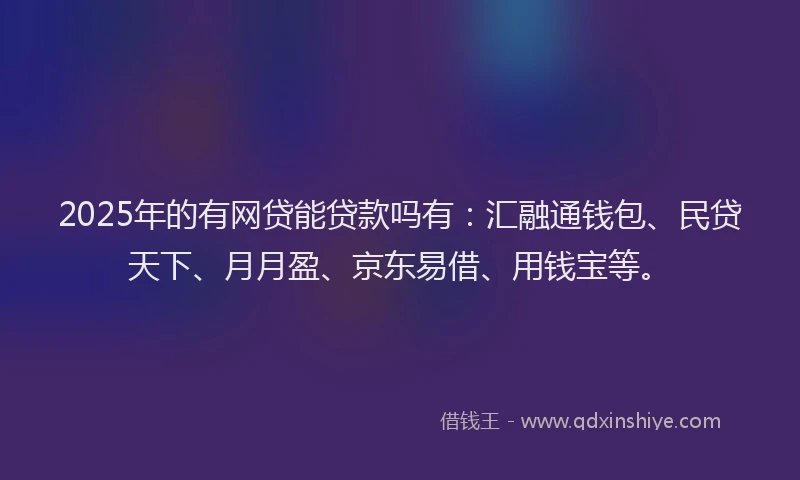 2025年的有网贷能贷款吗有：汇融通钱包、民贷天下、月月盈、京东易借、用钱宝等。