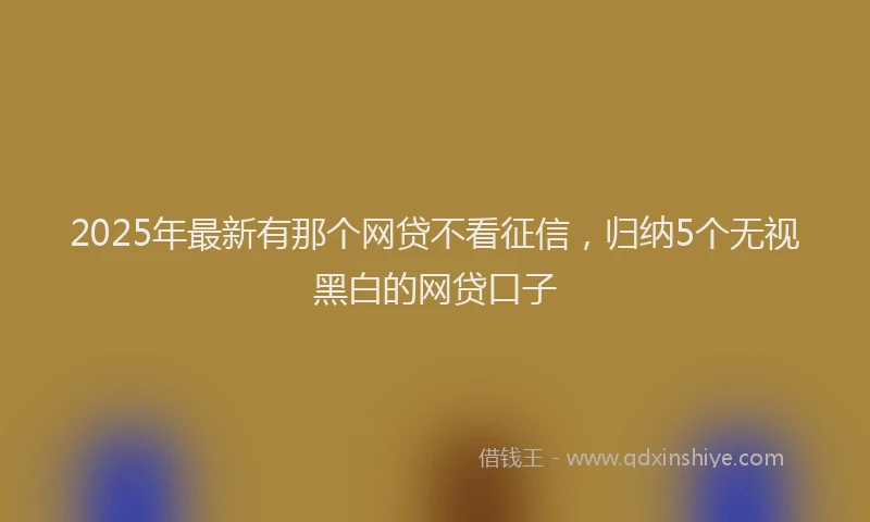 2025年最新有那个网贷不看征信，归纳5个无视黑白的网贷口子