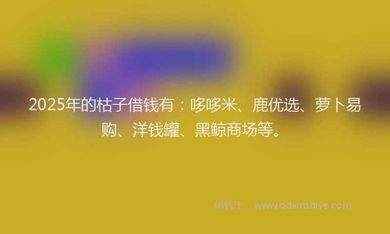2025年的枯子借钱有：哆哆米、鹿优选、萝卜易购、洋钱罐、黑鲸商场等。