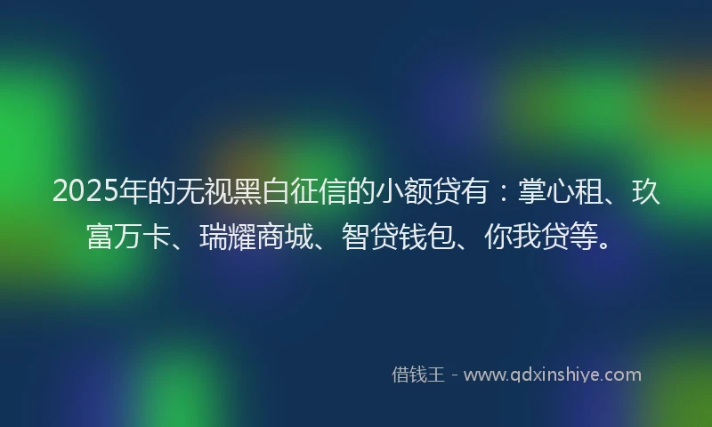 2025年的无视黑白征信的小额贷有：掌心租、玖富万卡、瑞耀商城、智贷钱包、你我贷等。