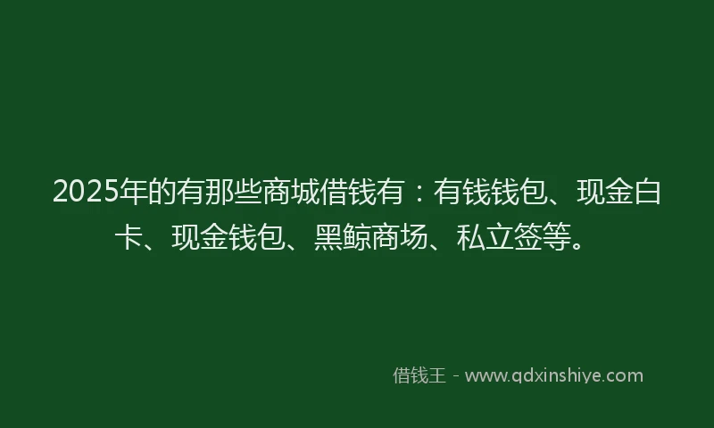 2025年的有那些商城借钱有：有钱钱包、现金白卡、现金钱包、黑鲸商场、私立签等。