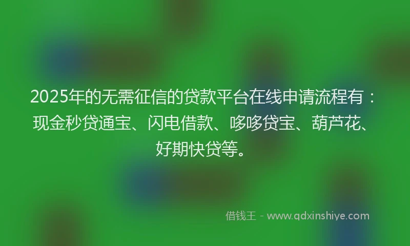 2025年的无需征信的贷款平台在线申请流程有：现金秒贷通宝、闪电借款、哆哆贷宝、葫芦花、好期快贷等。
