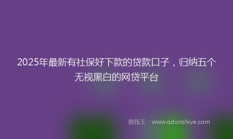 2025年最新有社保好下款的贷款口子，归纳五个无视黑白的网贷平台