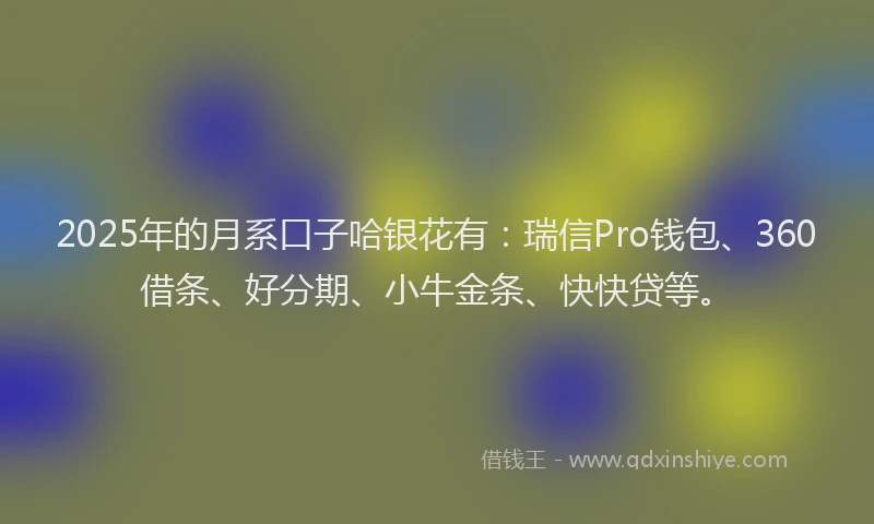 2025年的月系口子哈银花有：瑞信Pro钱包、360借条、好分期、小牛金条、快快贷等。