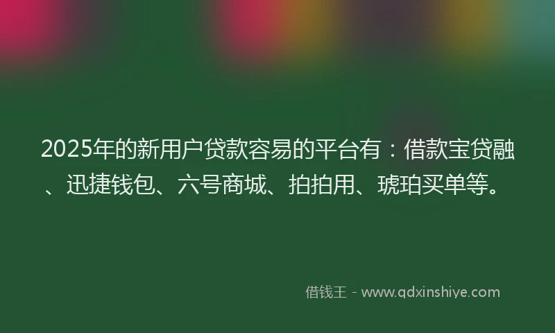 2025年的新用户贷款容易的平台有：借款宝贷融、迅捷钱包、六号商城、拍拍用、琥珀买单等。