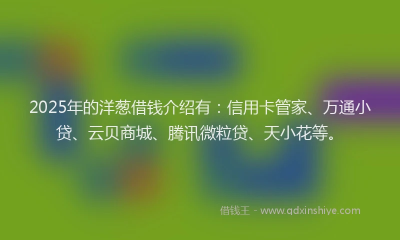 2025年的洋葱借钱介绍有：信用卡管家、万通小贷、云贝商城、腾讯微粒贷、天小花等。