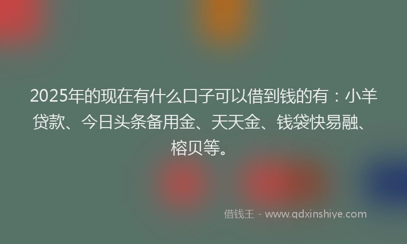 2025年的现在有什么口子可以借到钱的有：小羊贷款、今日头条备用金、天天金、钱袋快易融、榕贝等。