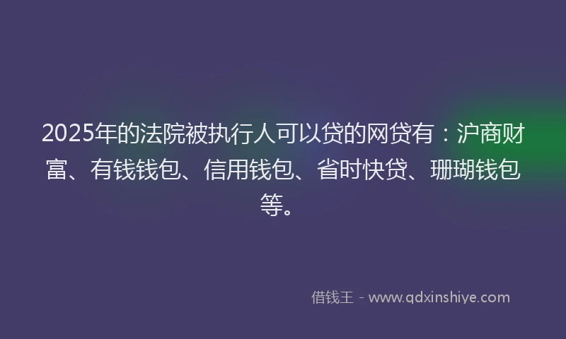2025年的法院被执行人可以贷的网贷有：沪商财富、有钱钱包、信用钱包、省时快贷、珊瑚钱包等。