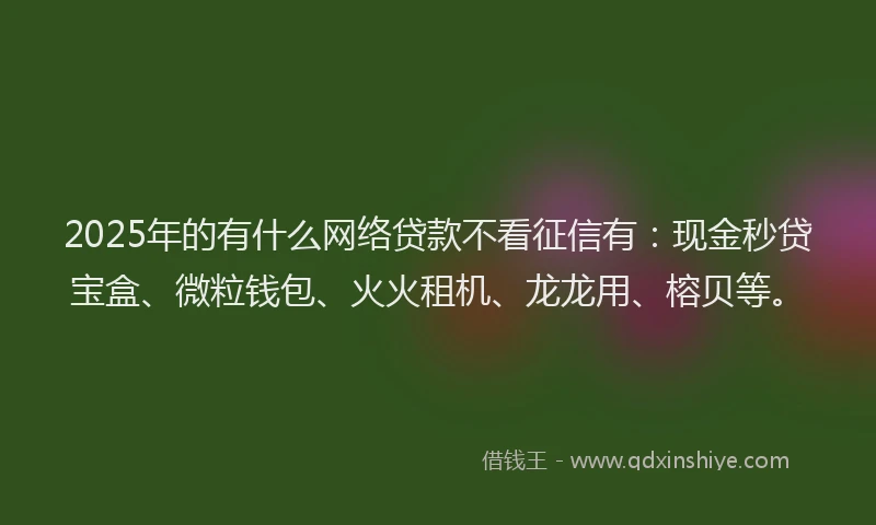 2025年的有什么网络贷款不看征信有：现金秒贷宝盒、微粒钱包、火火租机、龙龙用、榕贝等。