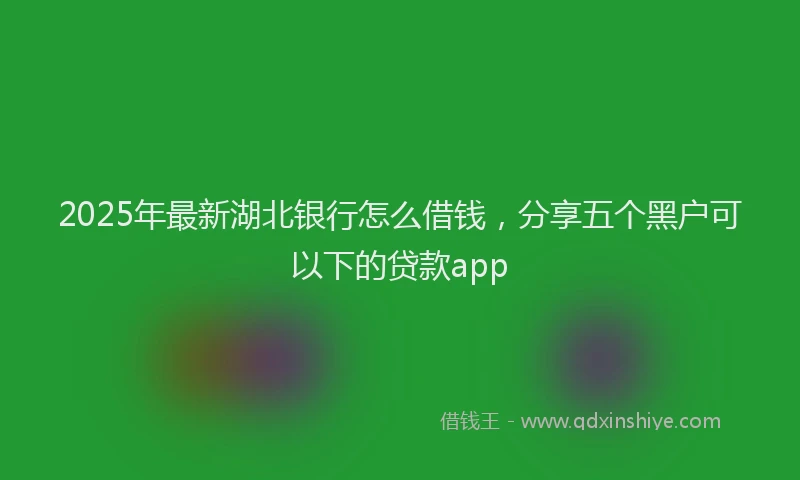 2025年最新湖北银行怎么借钱，分享五个黑户可以下的贷款app