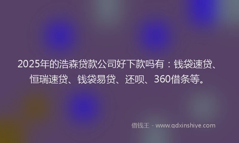 2025年的浩森贷款公司好下款吗有：钱袋速贷、恒瑞速贷、钱袋易贷、还呗、360借条等。