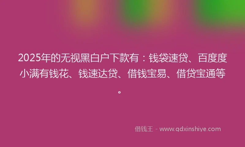 2025年的无视黑白户下款有：钱袋速贷、百度度小满有钱花、钱速达贷、借钱宝易、借贷宝通等。