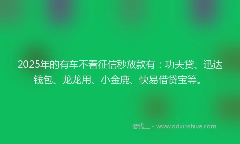 2025年的有车不看征信秒放款有：功夫贷、迅达钱包、龙龙用、小金鹿、快易借贷宝等。