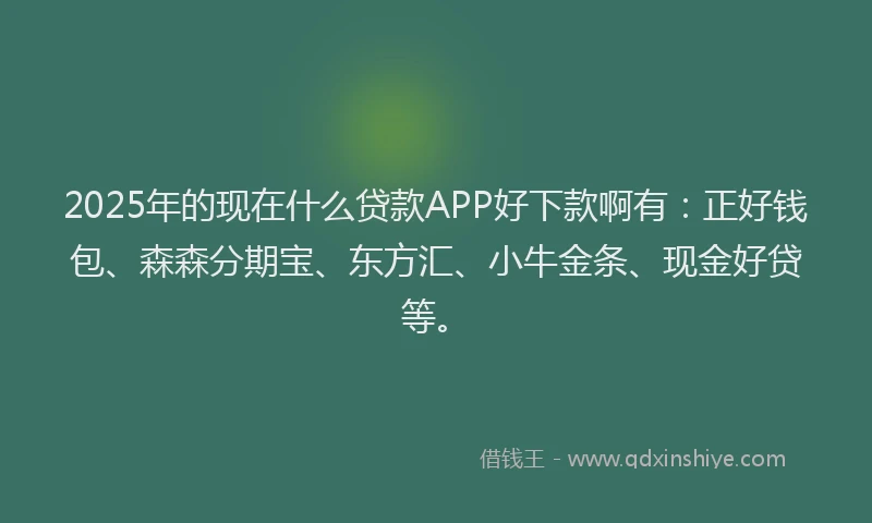 2025年的现在什么贷款APP好下款啊有：正好钱包、森森分期宝、东方汇、小牛金条、现金好贷等。