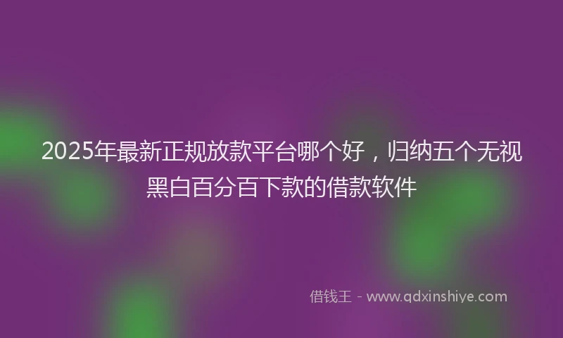 2025年最新正规放款平台哪个好，归纳五个无视黑白百分百下款的借款软件