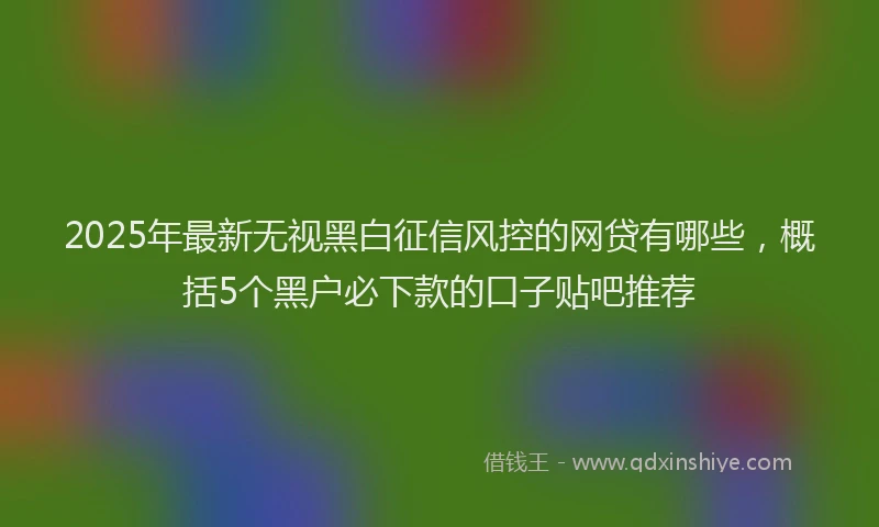 2025年最新无视黑白征信风控的网贷有哪些，概括5个黑户必下款的口子贴吧推荐