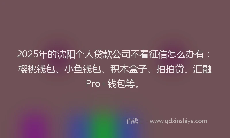2025年的沈阳个人贷款公司不看征信怎么办有：樱桃钱包、小鱼钱包、积木盒子、拍拍贷、汇融Pro+钱包等。