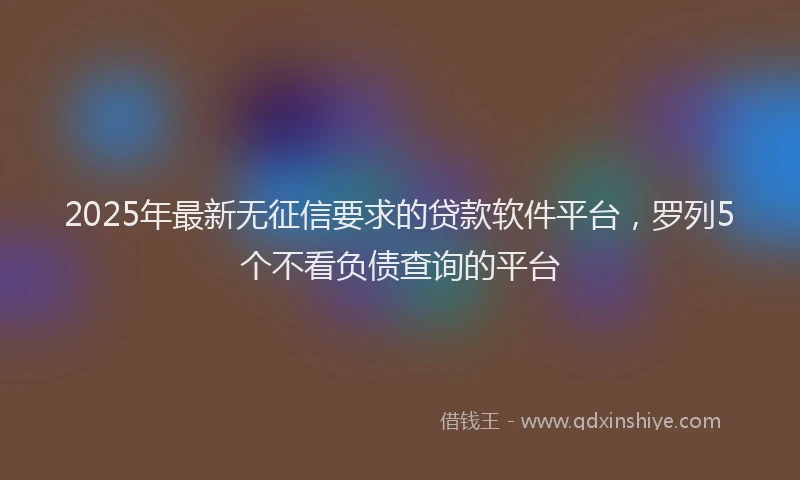 2025年最新无征信要求的贷款软件平台，罗列5个不看负债查询的平台