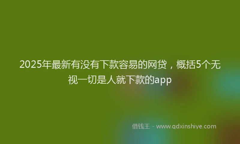 2025年最新有没有下款容易的网贷，概括5个无视一切是人就下款的app
