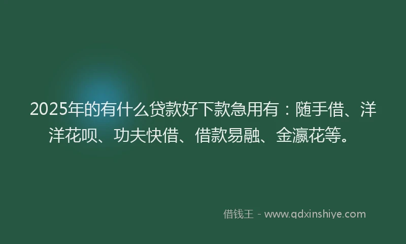 2025年的有什么贷款好下款急用有：随手借、洋洋花呗、功夫快借、借款易融、金瀛花等。