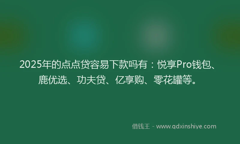 2025年的点点贷容易下款吗有：悦享Pro钱包、鹿优选、功夫贷、亿享购、零花罐等。
