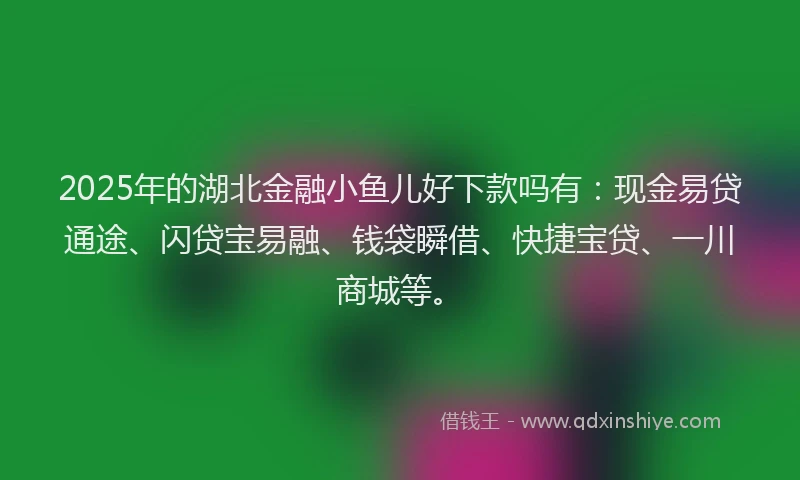 2025年的湖北金融小鱼儿好下款吗有：现金易贷通途、闪贷宝易融、钱袋瞬借、快捷宝贷、一川商城等。
